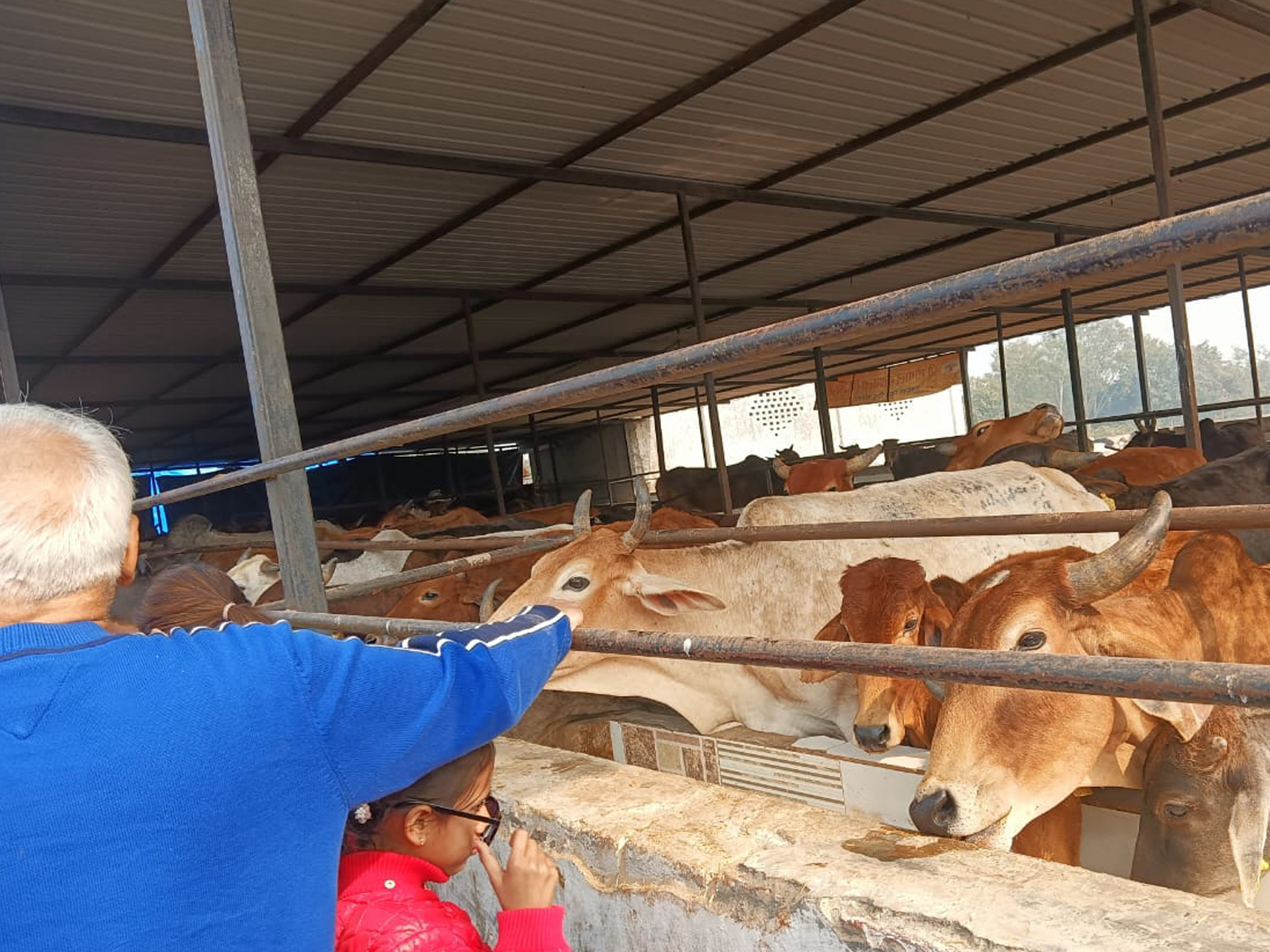 सेवा भारती की बहनों ने किया श्री गौ गोपाल गौशाला का दर्शन लिया सेवा का संकल्प